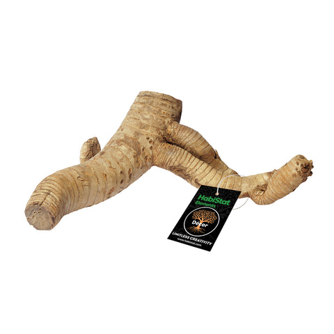 HabiStat Bamboo Root, Large