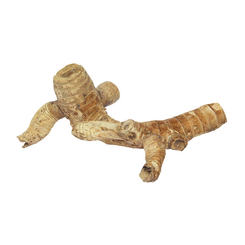 HabiStat Bamboo Root, Medium