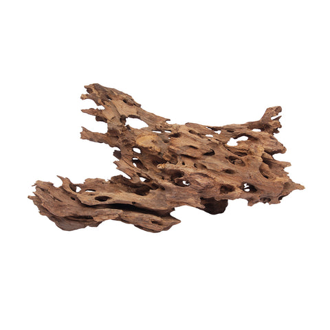 HabiStat Dragon Wood, Medium