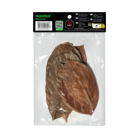 HabiStat Leaves, Jackfruit Leaves, 10 Pack