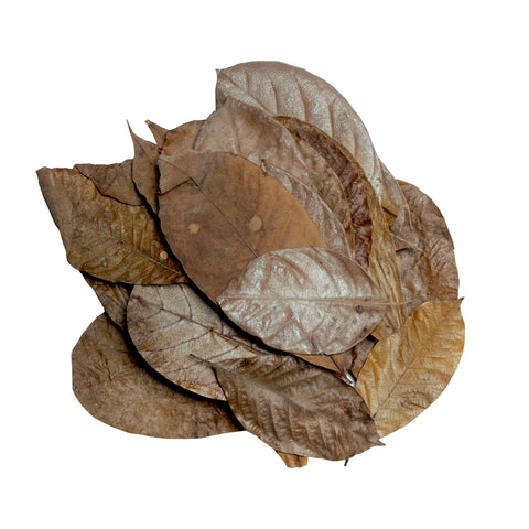 HabiStat Leaves, Mixed Leaves, 30 Pack