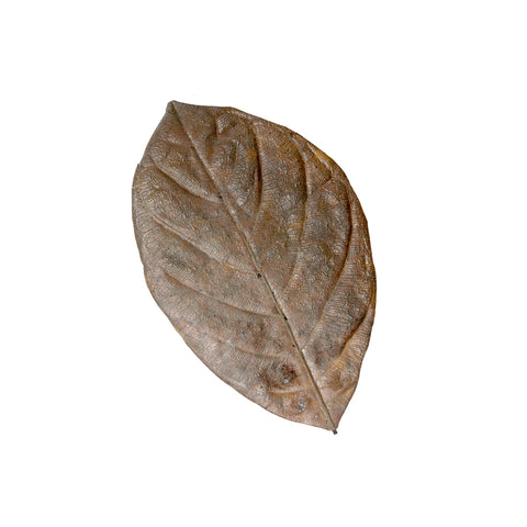 HabiStat Leaves, Mixed Leaves, 30 Pack