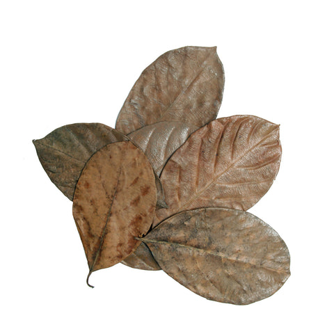 HabiStat Leaves, Mixed Leaves, 30 Pack