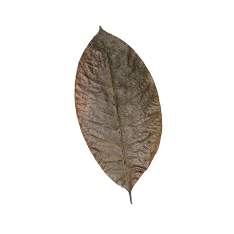 HabiStat Leaves, Rubber Leaves, 10 Pack