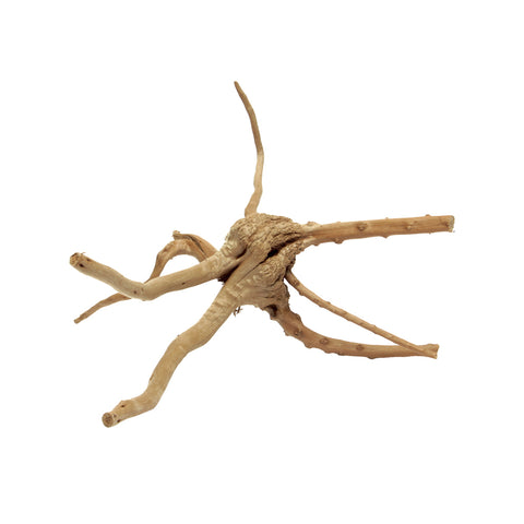 HabiStat Spider Root, Extra Small