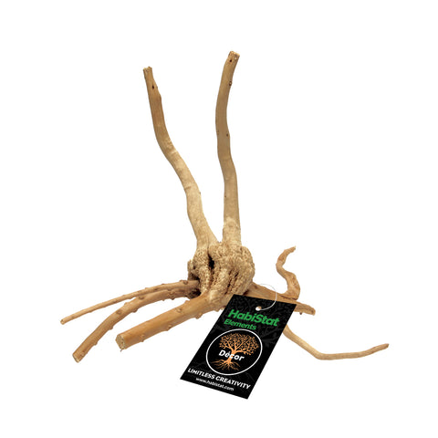 HabiStat Spider Root, Extra Small