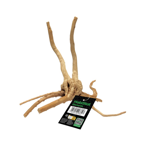 HabiStat Spider Root, Extra Small