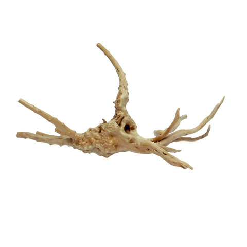 HabiStat Spider Root, Small