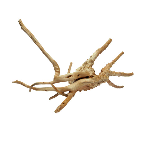 HabiStat Spider Root, Small