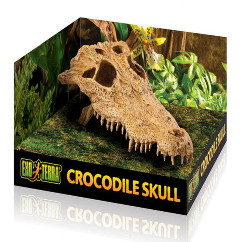 Exo Terra Crocodile Skull