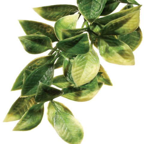 Exo Terra Mandarin Plastic Plant, Artificial Plant for Reptiles