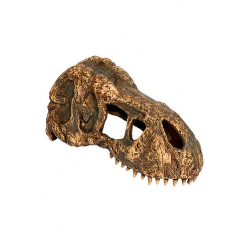 Exo Terra T-Rex Skull Hiding Cave