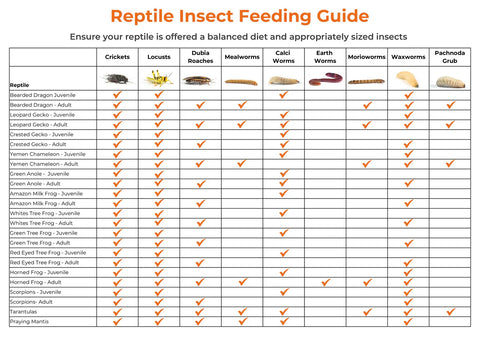 Standard Silent Crickets