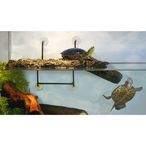 Zoo Med Turtle Dock, Medium