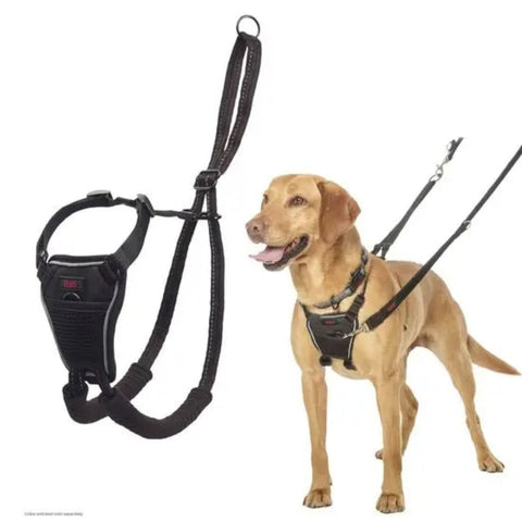 Halti No Pull Harness